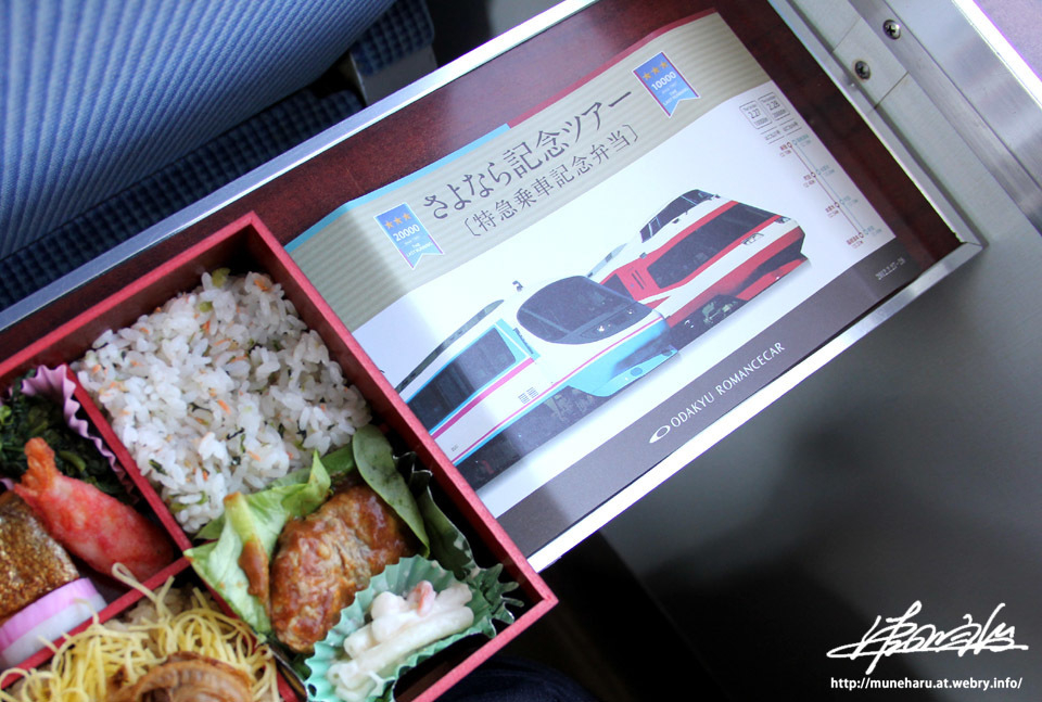 小田急ロマンスカー 10000形 20000形 さよなら記念ツアー